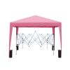Outdoor 10 x 10 Ft Pop Up Gazebo Canopy with 4 pcs Sand Bag and Carry Bag,Pink